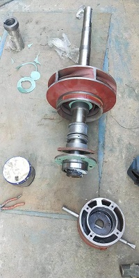 ���v���{��